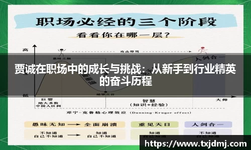 贾诚在职场中的成长与挑战：从新手到行业精英的奋斗历程